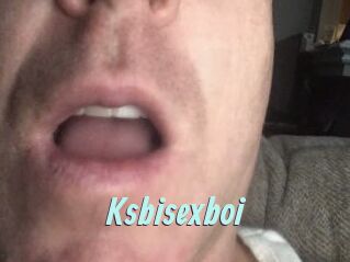 Ksbisexboi