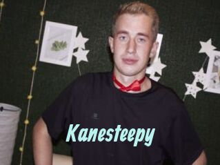 Kanesteepy