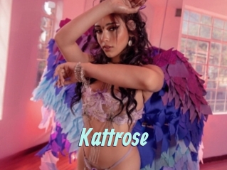 Kattrose