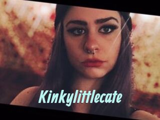 Kinkylittlecate