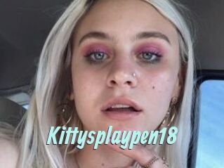 Kittysplaypen18