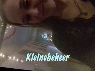Kleinebeheer