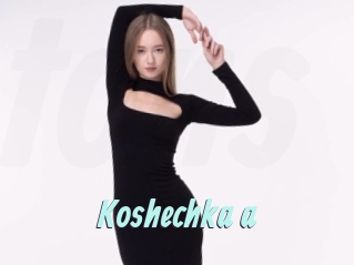 Koshechka_a