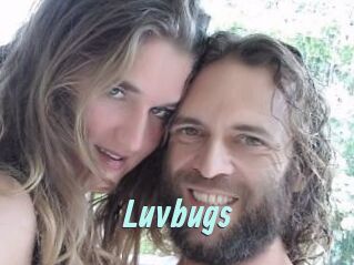 Luvbugs