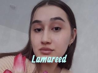 Lamareed