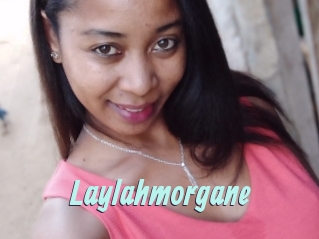 Laylahmorgane