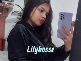Lilybosse