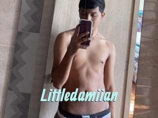 Littledamiian