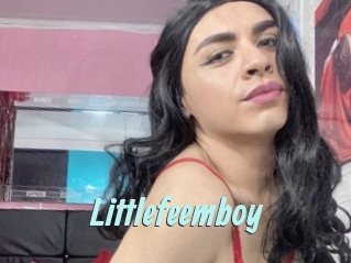 Littlefeemboy