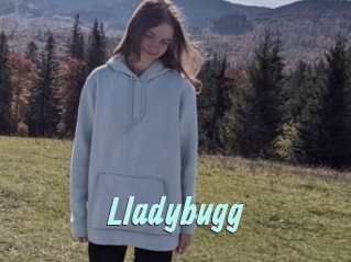 Lladybugg