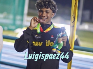 Luigispaez44