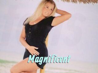 Magnificent