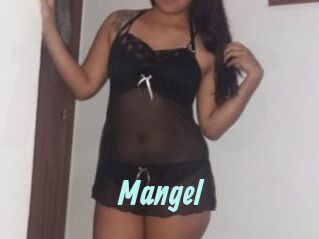 Mangel