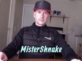 MisterShnake