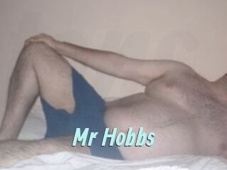 Mr_Hobbs