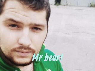 Mr_bear1