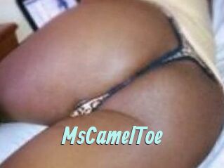 MsCamelToe