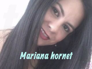 Mariana_hornet