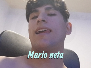 Mario_neta