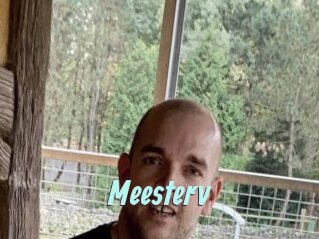Meesterv