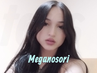 Meganosori