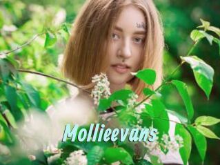 Mollieevans