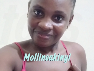 Mollineakinyi