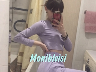 Monibleisi