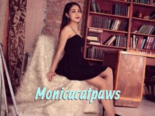 Monicacatpaws