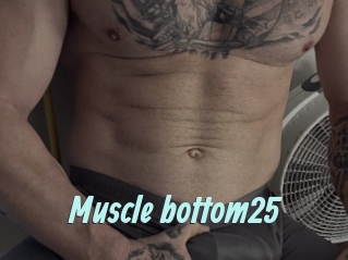 Muscle_bottom25