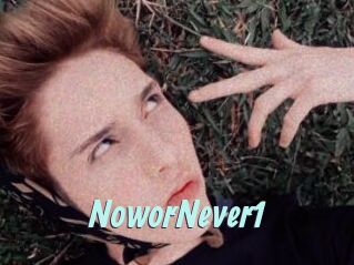 NoworNever1