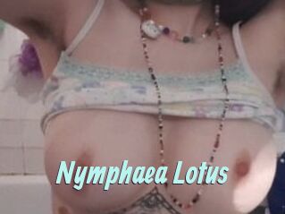 Nymphaea_Lotus