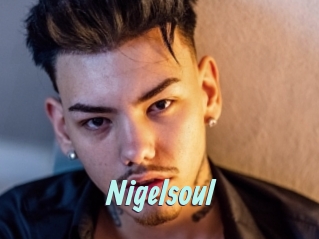 Nigelsoul