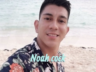 Noah_cock