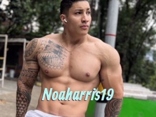 Noaharris19