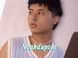 Noahdupont