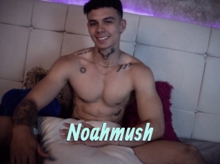 Noahmush