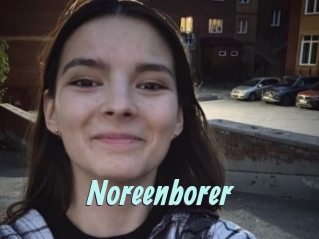 Noreenborer