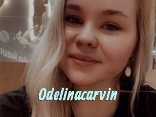 Odelinacarvin