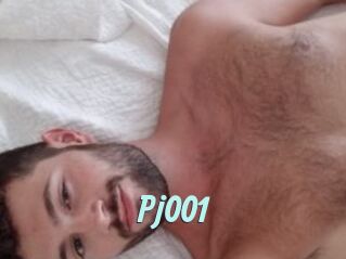 Pj001