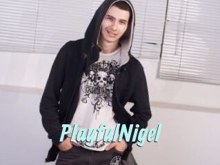 PlayfulNigel