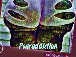 Pearaddiction