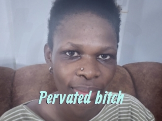 Pervated_bitch