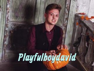 Playfulboydavid