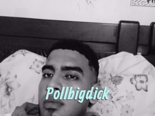 Pollbigdick