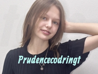 Prudencecodringt