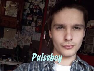 pulseboy Ton Show