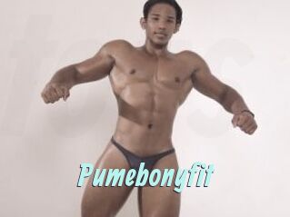 Pumebonyfit