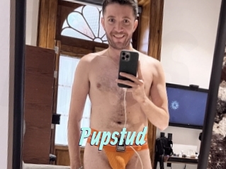 Pupstud