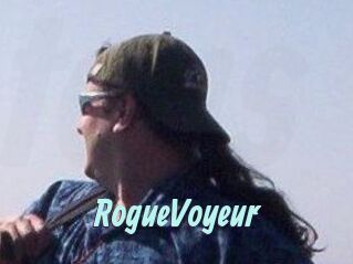 RogueVoyeur